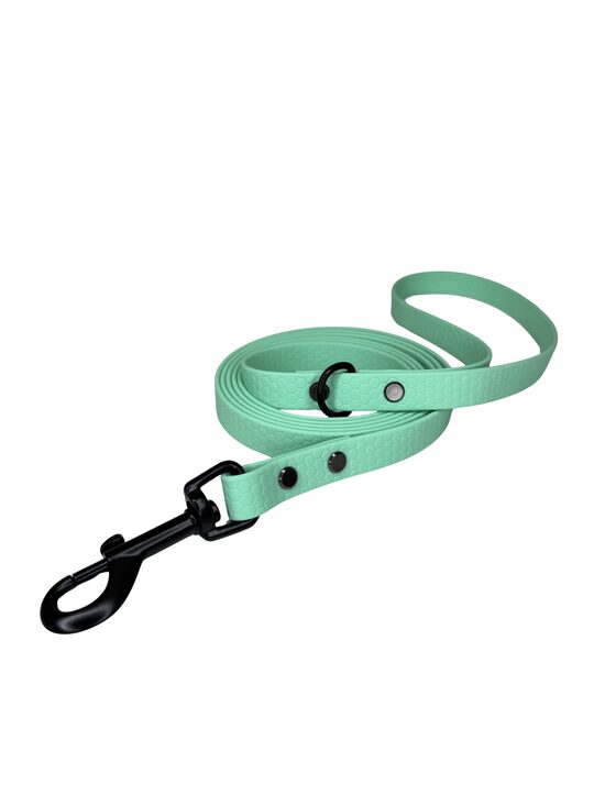 HEXA LEASH-CARIBBEAN GREEN 16MM 200CM